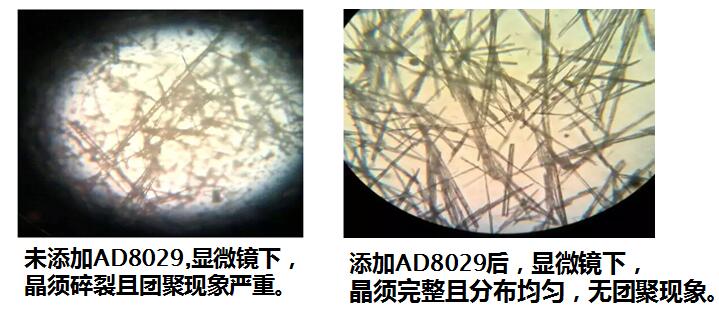 晶须改性